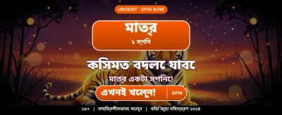 Best Online Casino Experience